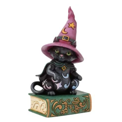 Fashion Enesco Gift Black Cat Sitting on Book Pint
