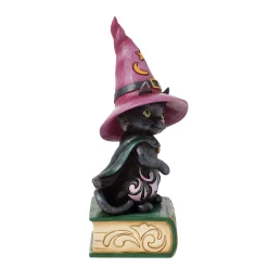 Fashion Enesco Gift Black Cat Sitting on Book Pint