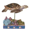 Online Enesco Gift Hawksbill Sea Turtle