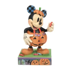 New Enesco Gift Mickey Pumpkin Costume