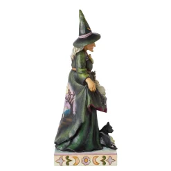 Hot Enesco Gift Scary Witch Skulls Skirt Fig