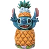 Store Enesco Gift Stitch in a Pineapple