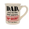 Online Enesco Gift Top Secret Dad 16 oz Mug