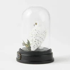 Best Enesco Gift WZDWLD Hedwig Curiosity Cloche